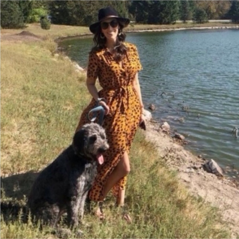 - Anthropologie Porridge Vianne Belted Maxi Dress Size 0 to 2 - Picture 6 of 13